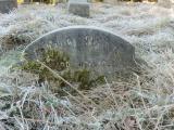 image of grave number 724355